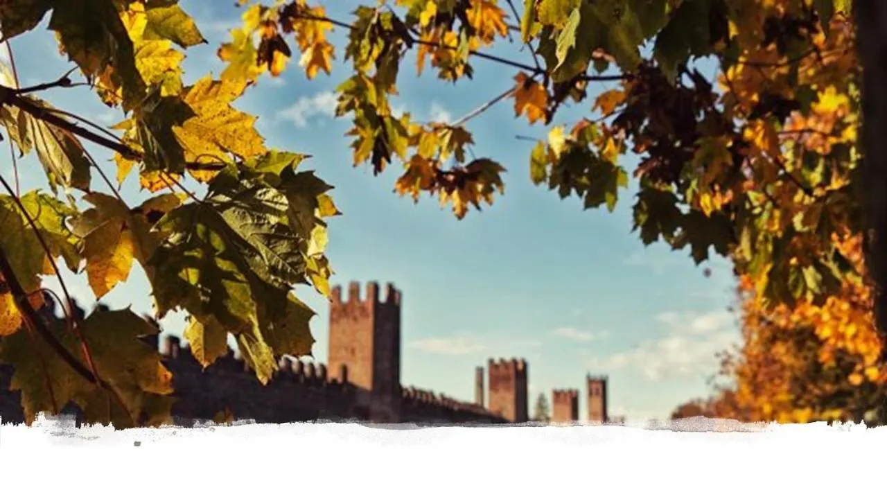 The History Apartment Montagnana