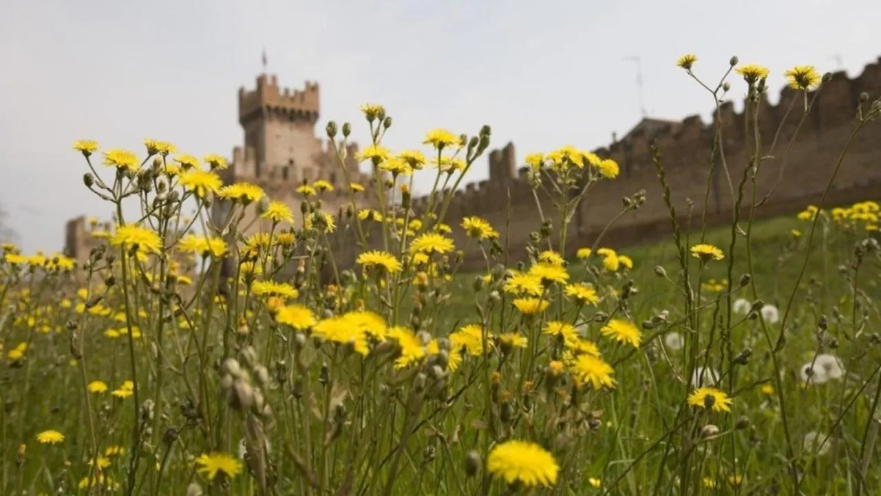 The History Apartment Montagnana